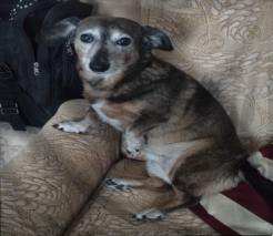 The Republic of Emar