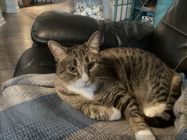 The Republic of Endoring