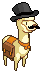 The No drama llama no spitti
