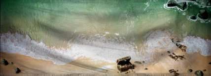 The Constitutional Monarchy 