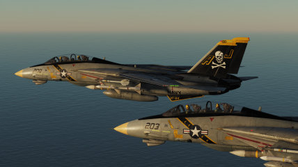The Dominion of F-14