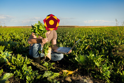 The Republic of Farmer the T