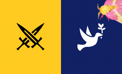 The Principality of Feidjeg