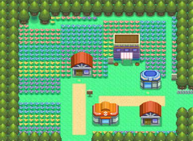 The Sinnoh Town of Floaroma