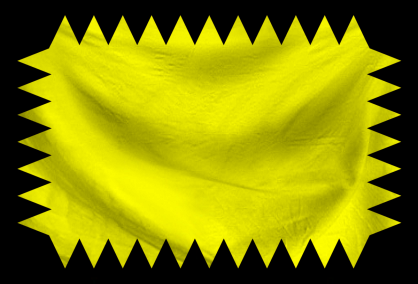 The United Socialist Allianc