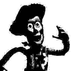 The Woody Theory Believer of