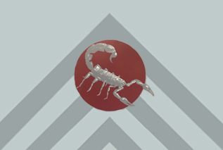 The Republic of FSBC Scout
