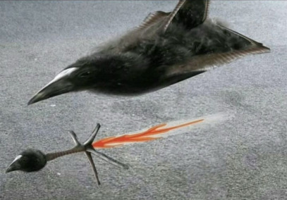 The Thousand Year Internatio