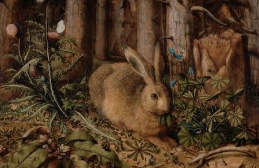 The Kingdom of Gezellige kon