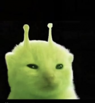 The Republic of Glorple