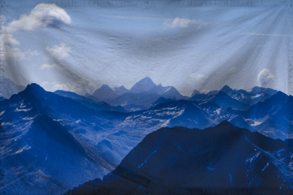 The Graypublic of GrayingOut