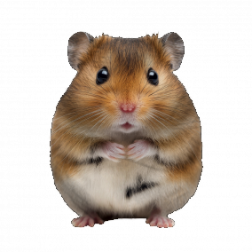 The Constitutional Monarchy 