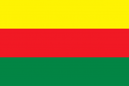 The Democratic Federation of