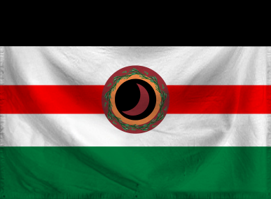 The United Socialist States 