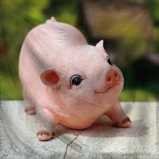 The Empire of Hogs 11