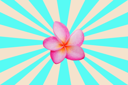 The Tropical Paradise of Hon