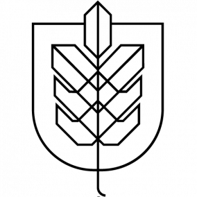 The Community of Hult Intern
