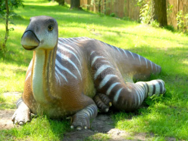 The Republic of Igunadonsrve