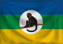 The Colony of Intel Monkey