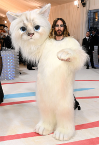 The Met Gala is a Furcon of 