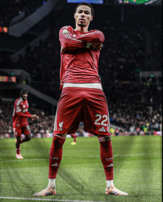 The United States of Joaos B