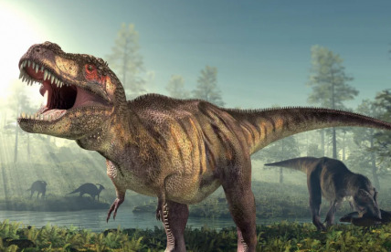 The Dominion of Jurassic Din