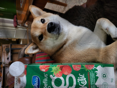 The Holy Empire of Kollloer