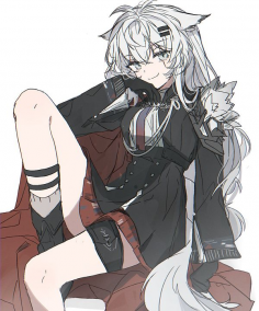 The Republic of Lappland XI