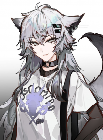 The Rogue Nation of Lappland