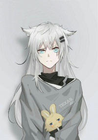 The Armed Republic of Lappla