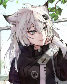 The Borderlands of Lappland 