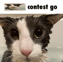 The Disputed Territories of 