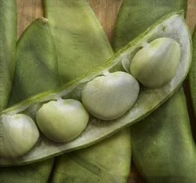 The People's Republic of Lim