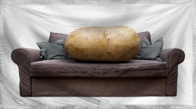 The Lazy Couch-dwelling Days