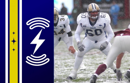 The Versatile Bobcat Blocker