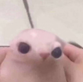 The Commonwealth of Luceta