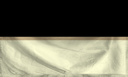 The Constitutional Monarchy 