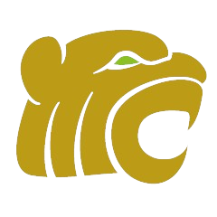 The Community College of Mad