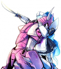 The Republic of Maid Tailgat