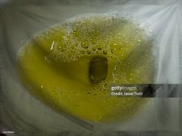 The Confederacy of Man Piess