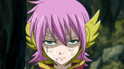 The Super Fandom of Meredy