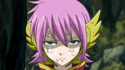 The Fandom of Meredy