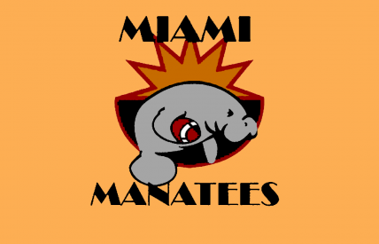 The Former CFL Team of Miami