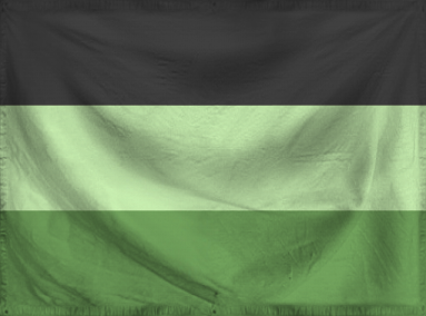 The Community of Midagascar