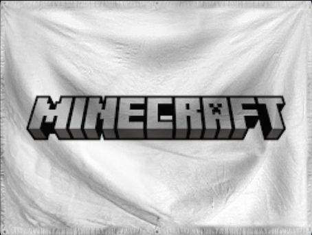 The Community of Minecraft1
