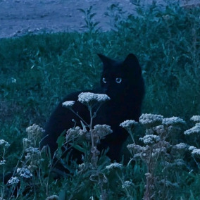 The Former Raider of Miss Ba