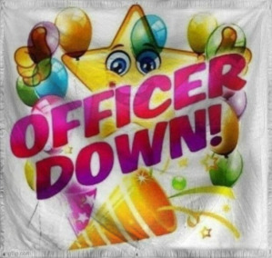 The Kingdom of Msmg-land