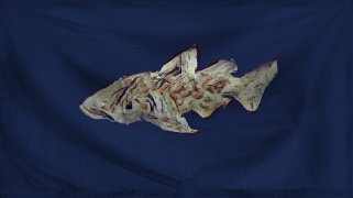 The Free Republic of Mudfish