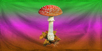 The Matriarchal Mycorrhiza o