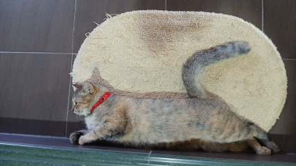 The Republic of Nan Ba